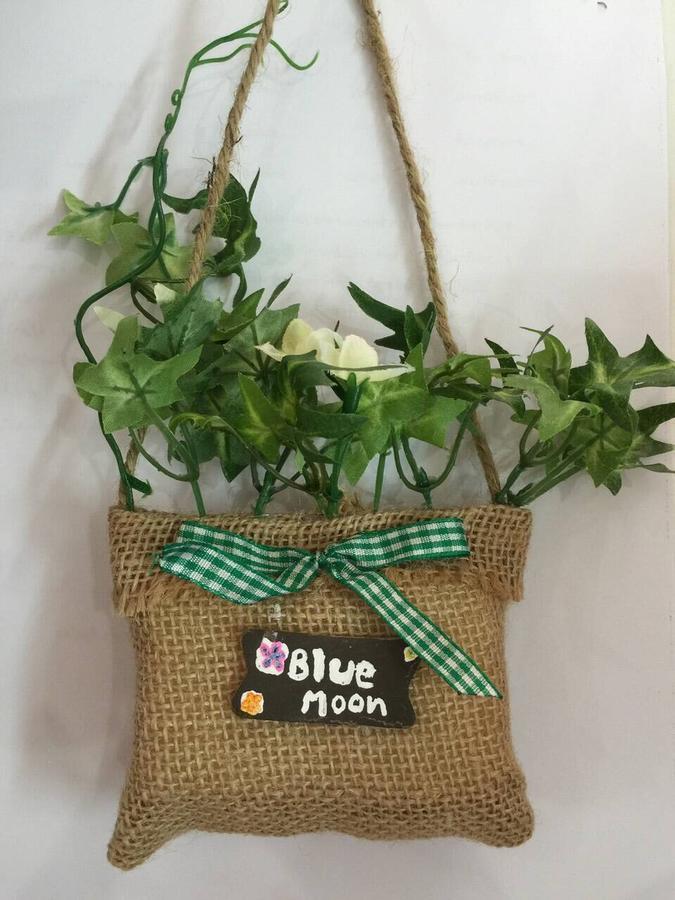 הואה הין Blue Moon Hotel מראה חיצוני תמונה